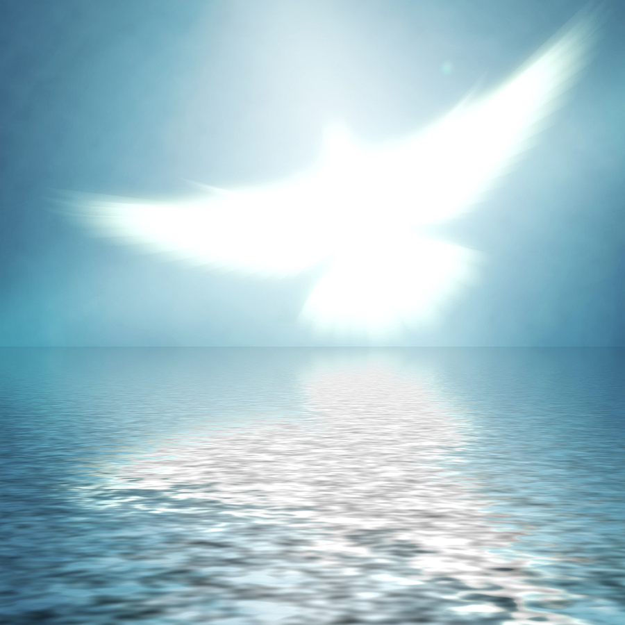 bigstock-shining-dove-with-rays-on-a-bl-29599061